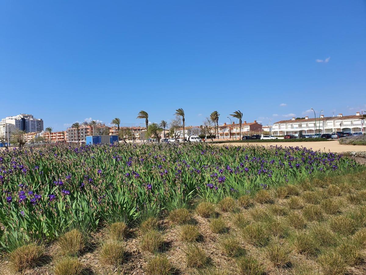 Apartamento Blue Sea Empuriabrava Eksteriør billede